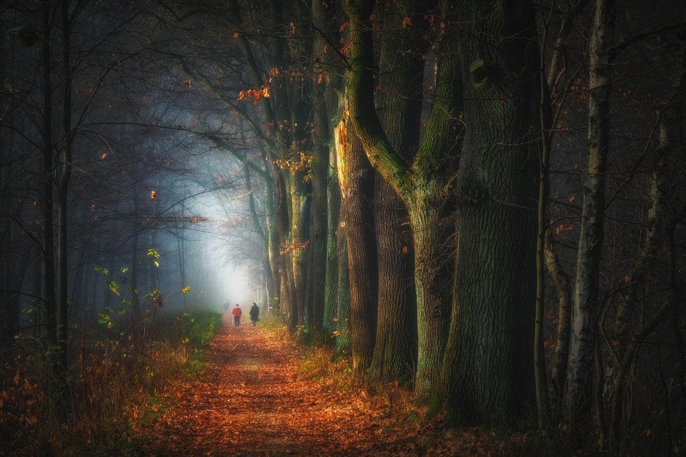 Popołudniowy spacer...