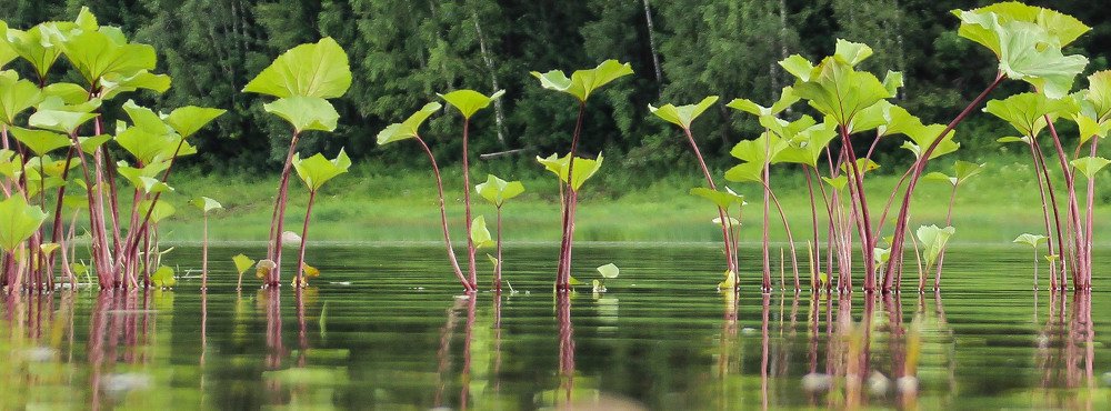 Photograph by Юлия