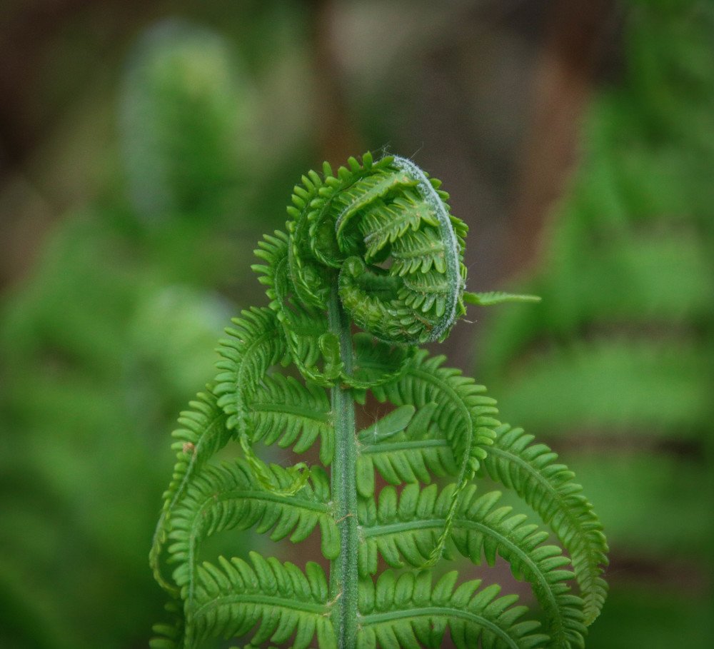 Photograph by Юлия