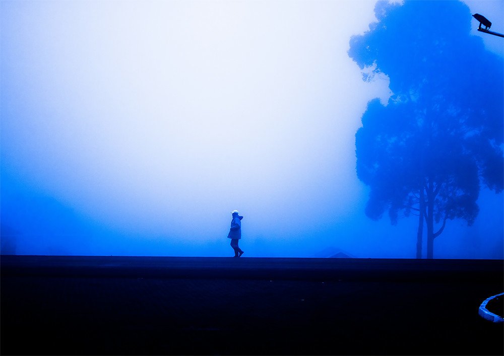 Photograph by V. Kimani