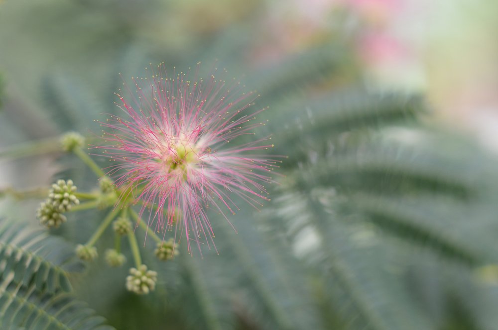 Photograph by Снежана Жвирбля