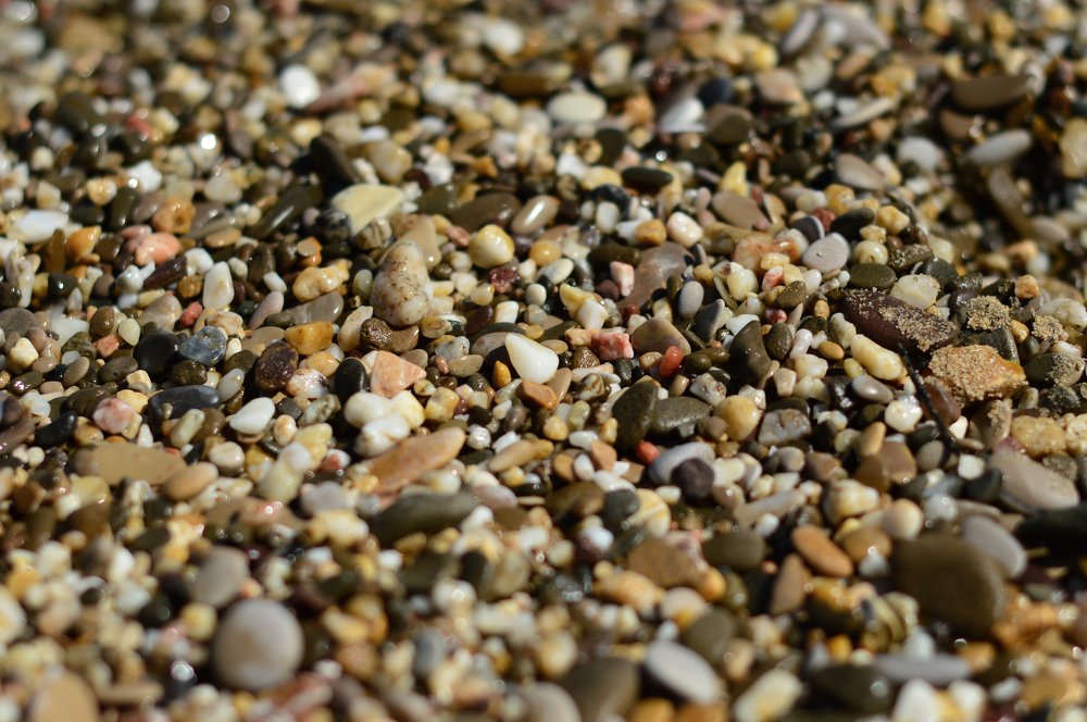 Photograph by Снежана Жвирбля