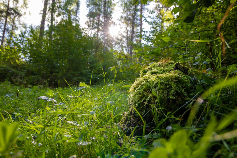 Photograph by Дмитрий Чудинин