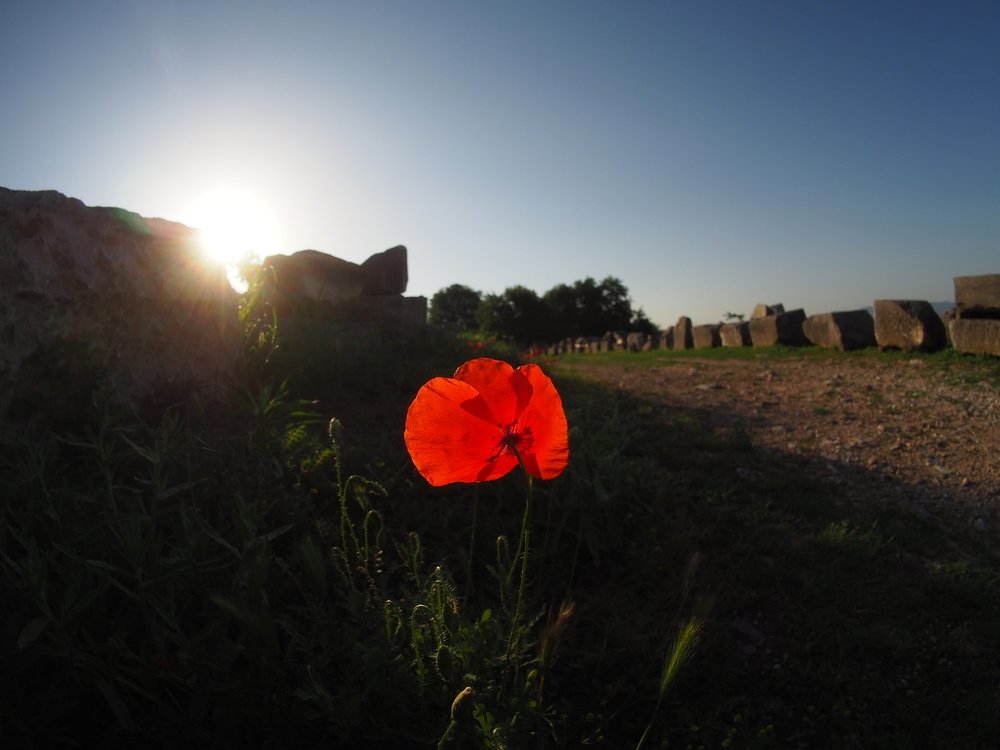 Photograph by Андрей Куприенко