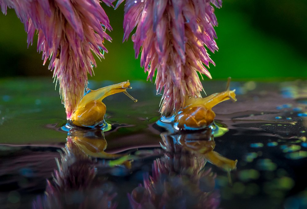 Фотография автора Maurice Leung