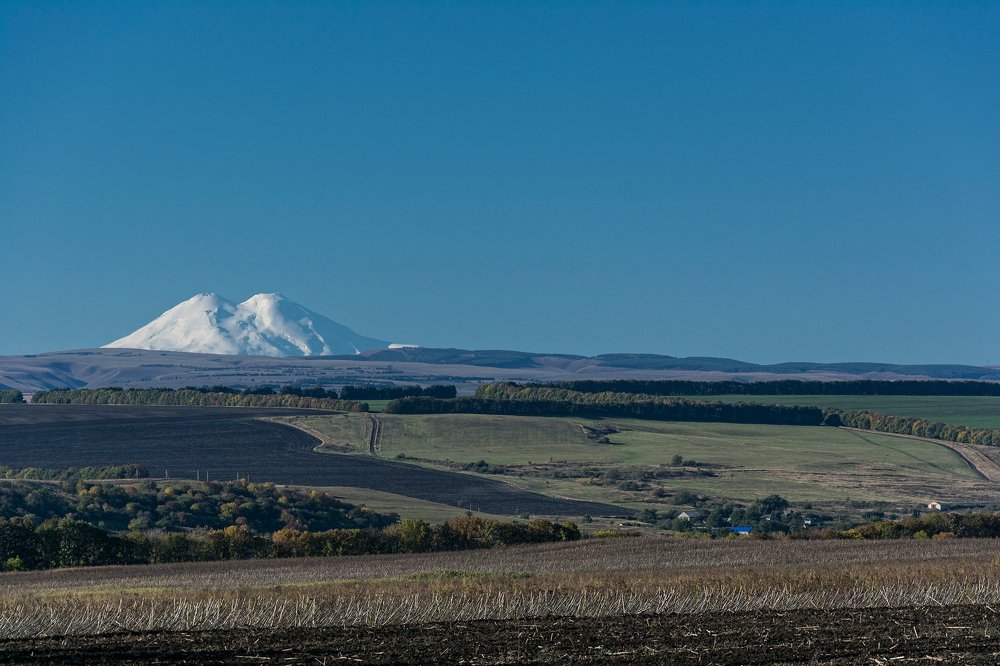 Photograph by Subway