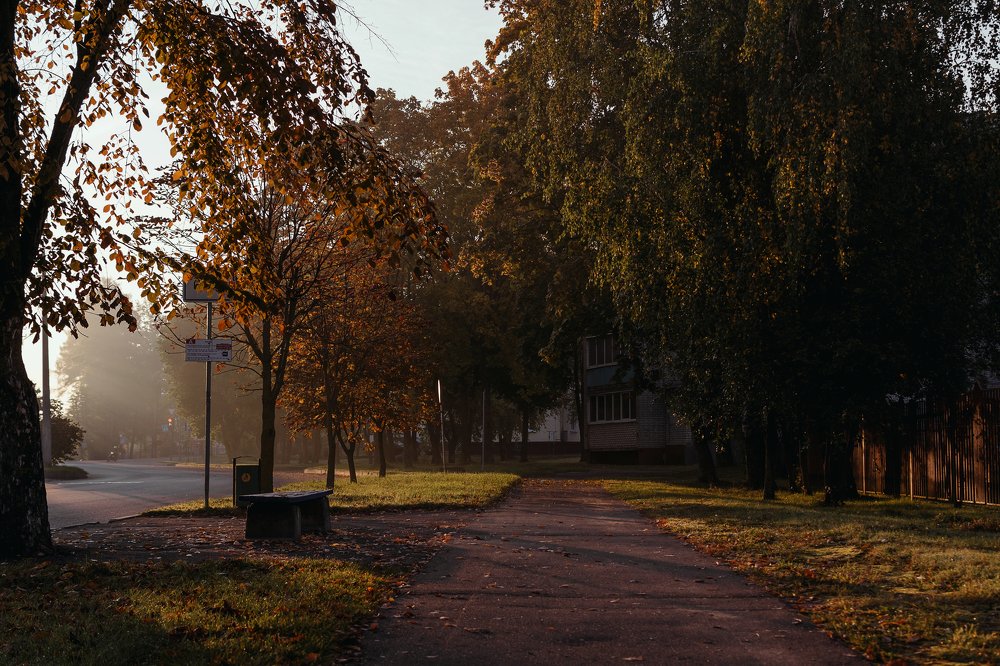 Осень в городе