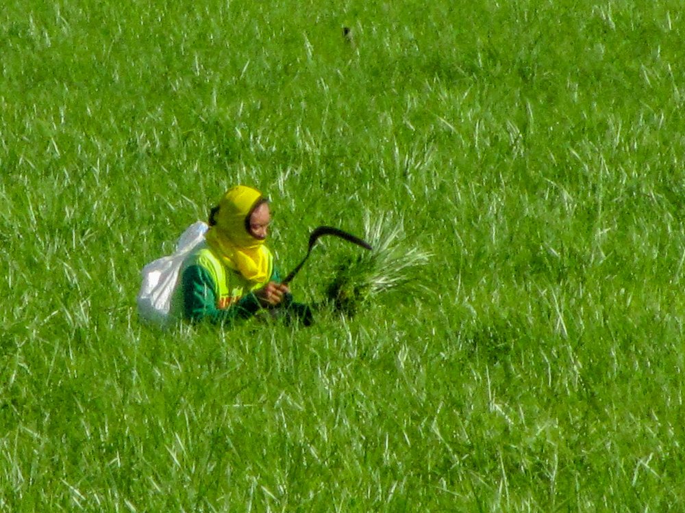 Photograph by Albert Maramis