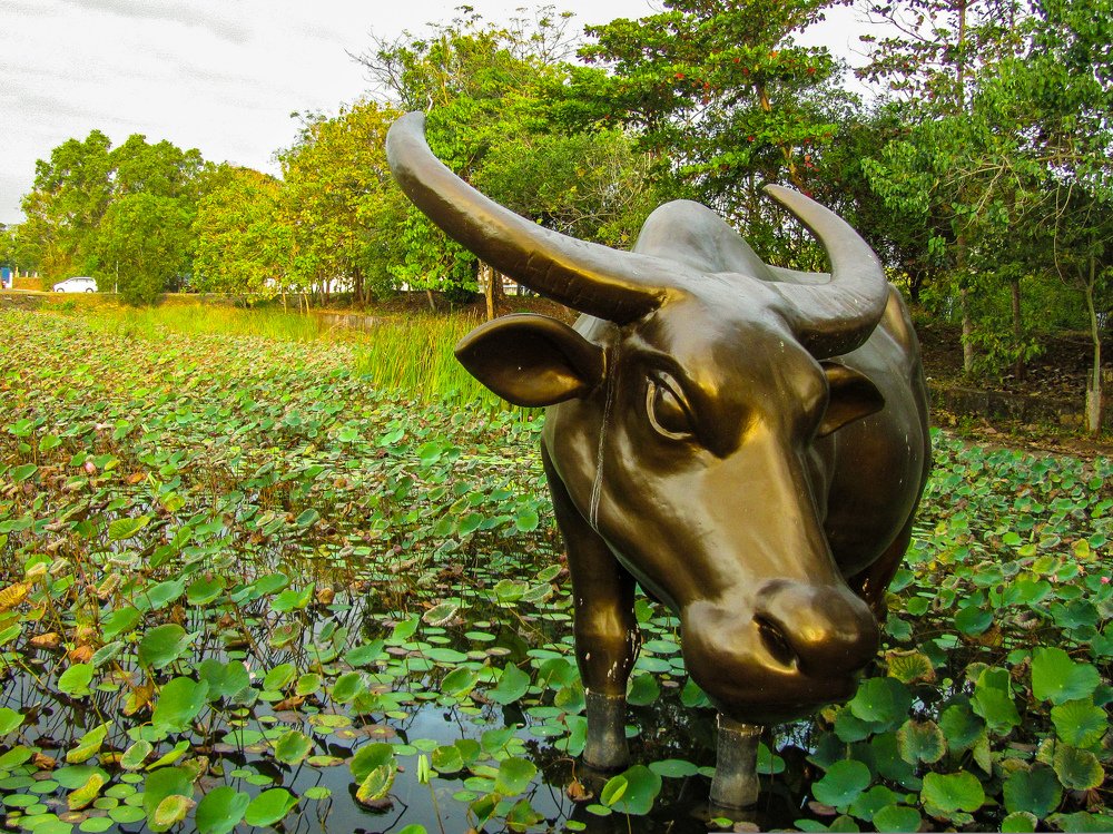 Photograph by Albert Maramis