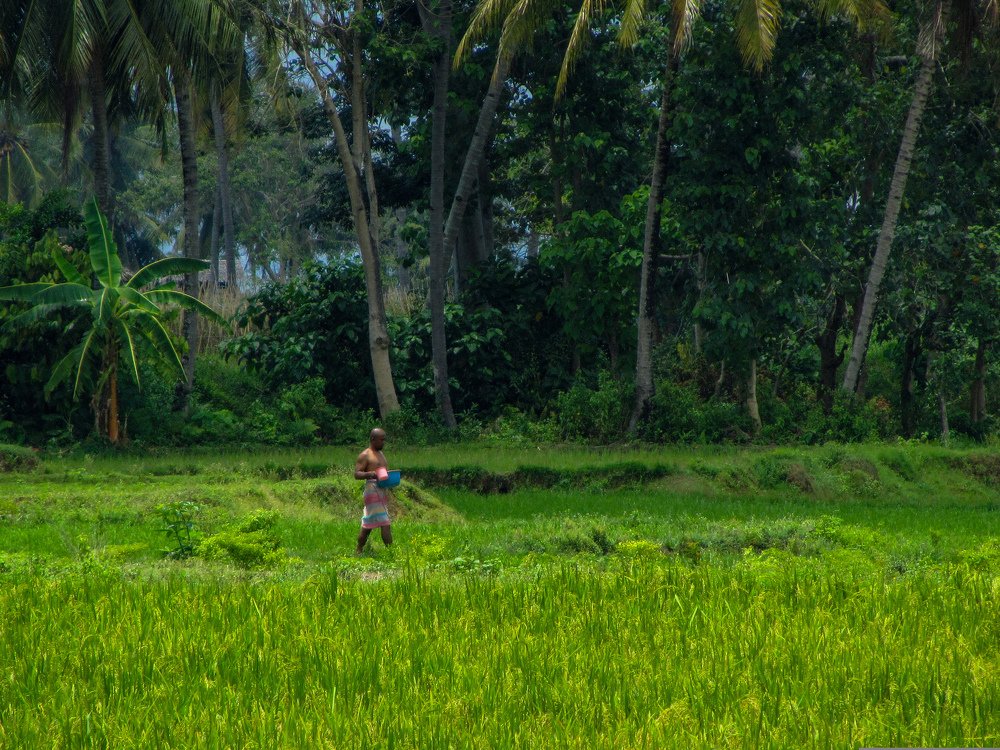 Photograph by Albert Maramis