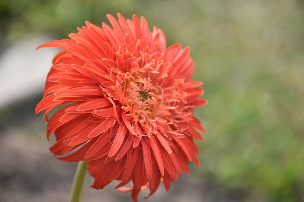 Photograph by Tasneem Kashem