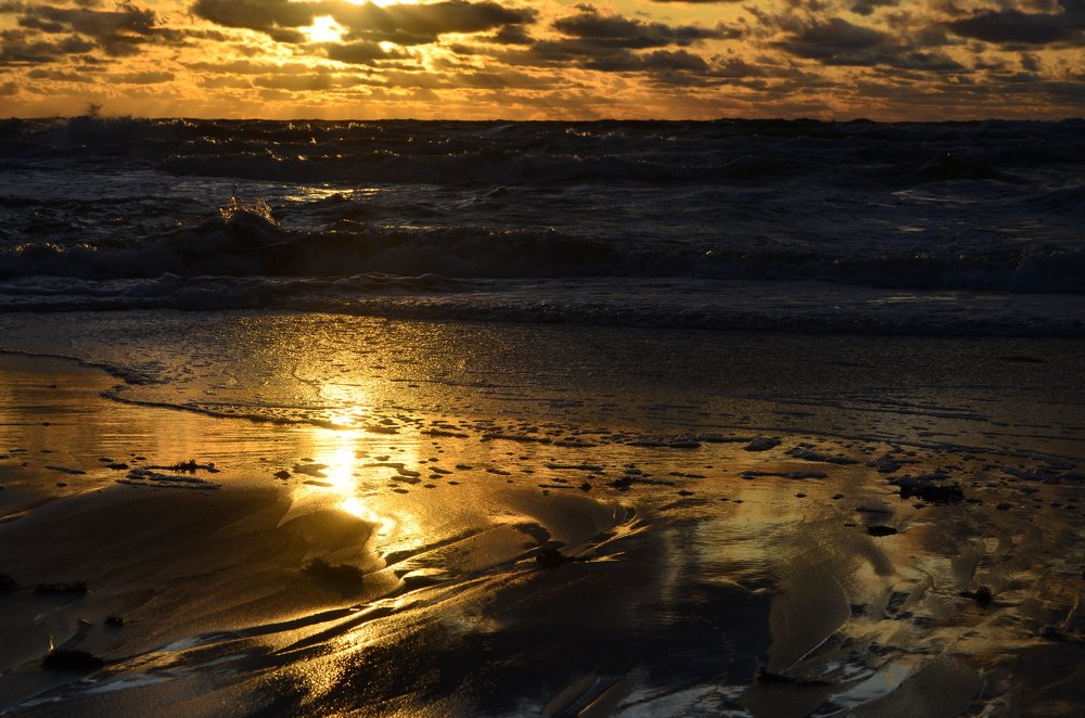 Photograph by Galina Baranovskaja