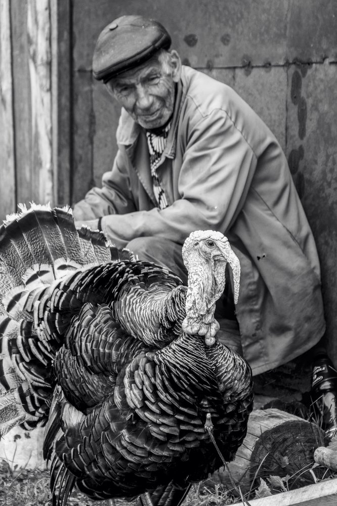 Фотография автора Надежда Саблина