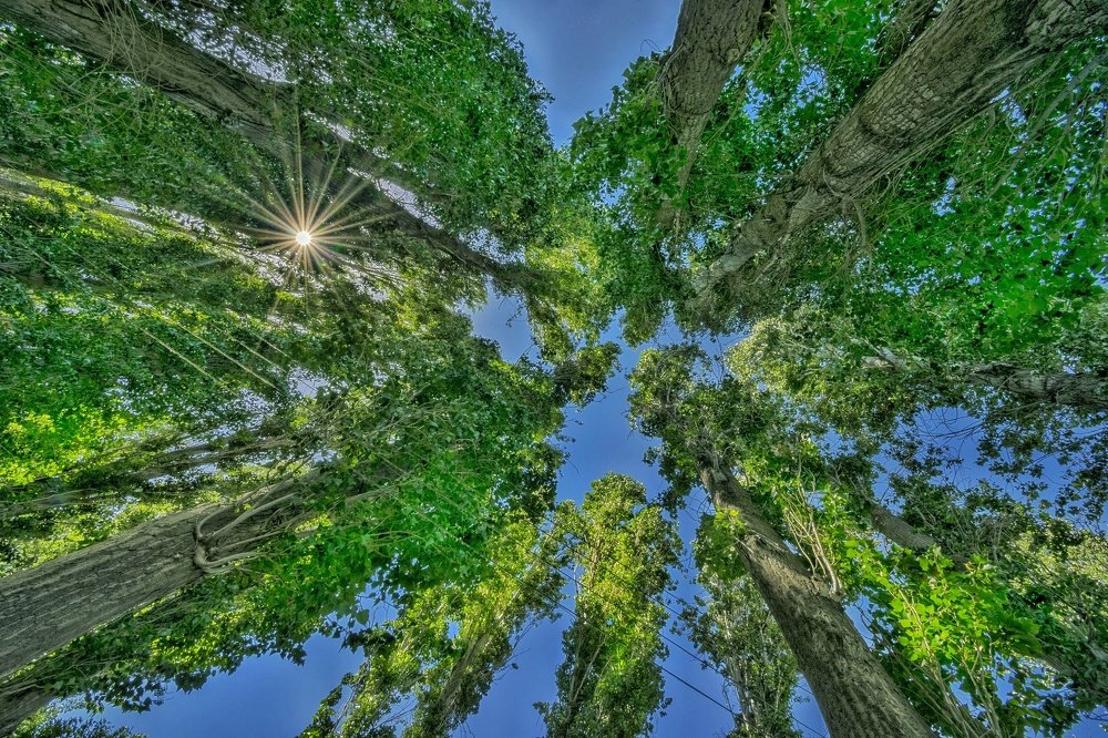 Photograph by Edris Khosravizadeh