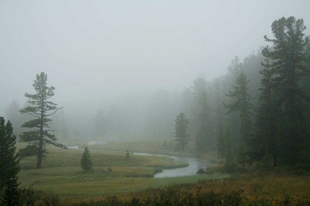 Photograph by Ирина Богатырева