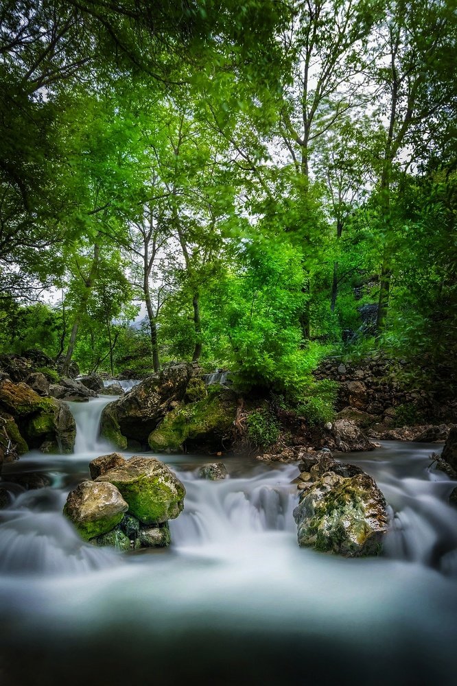 Photograph by Edris Khosravizadeh