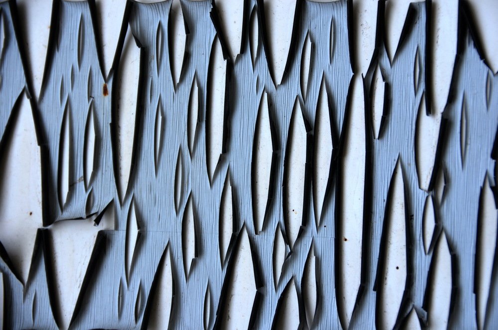 Photograph by Евгения Карпачева