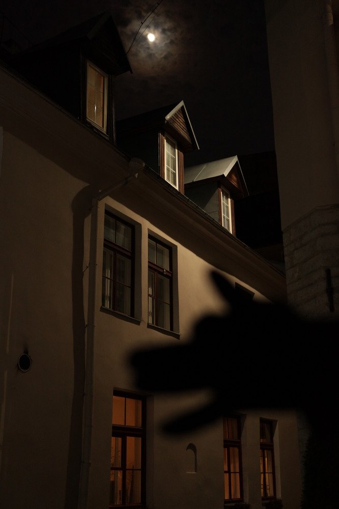 Photograph by Julija Šommet