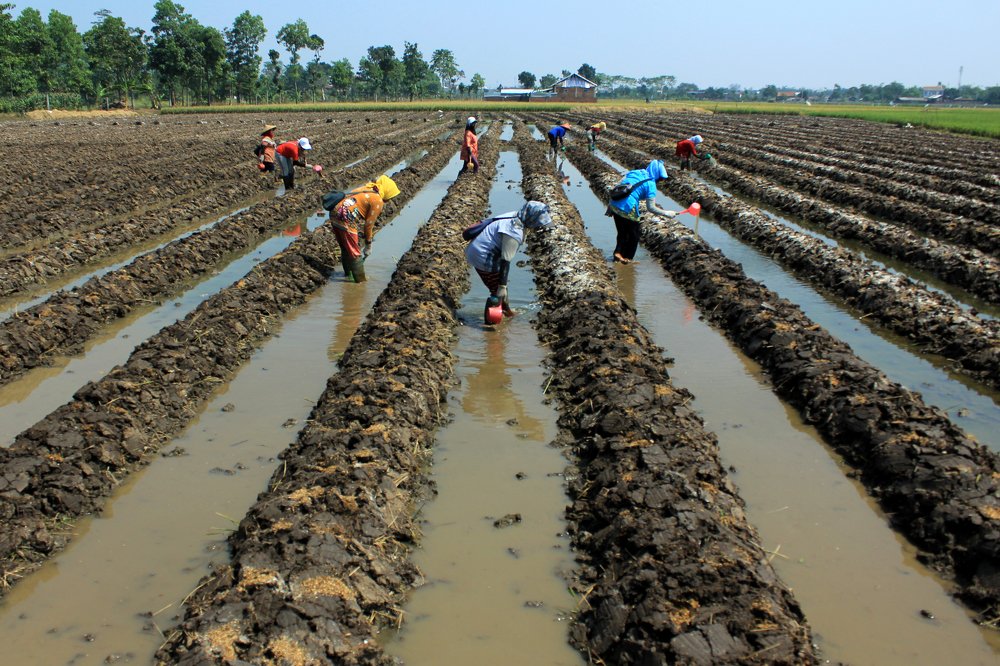 Photograph by Baraya Rocky