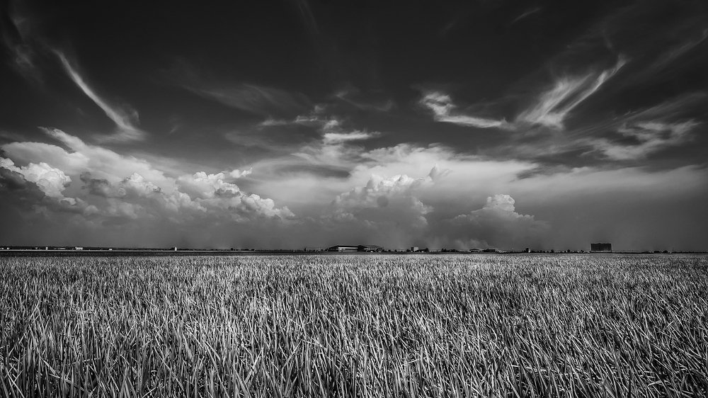 Photograph by WEI LOON LIM