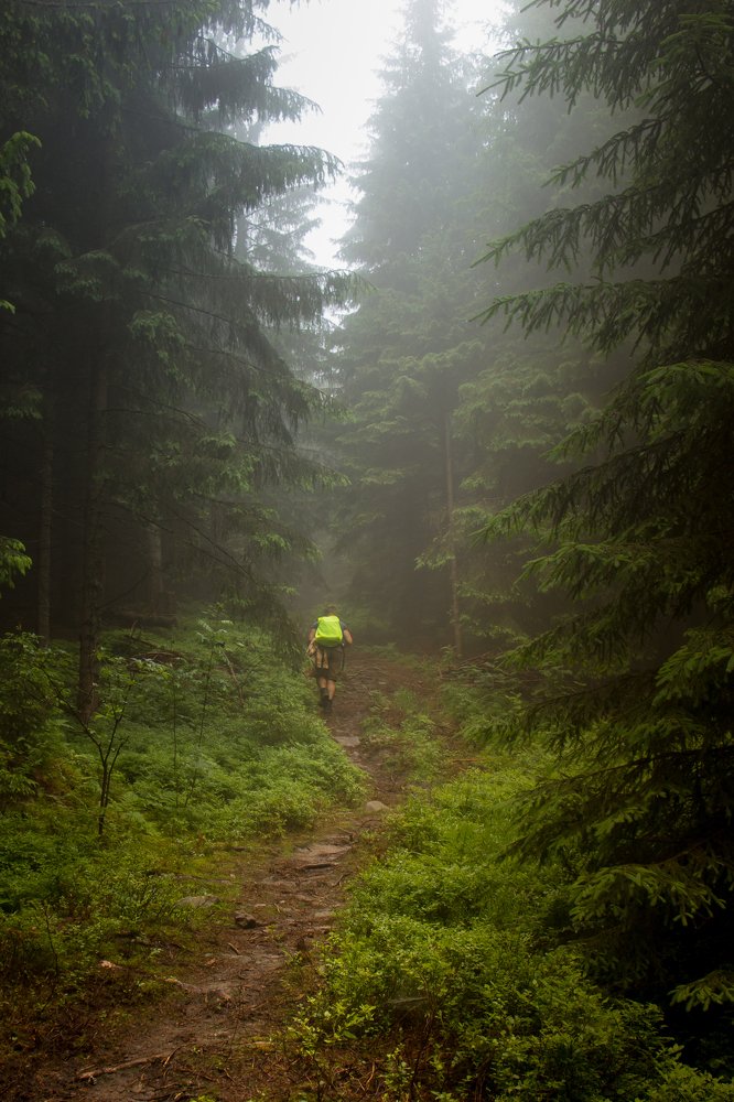 Photograph by Ольга Псюрник