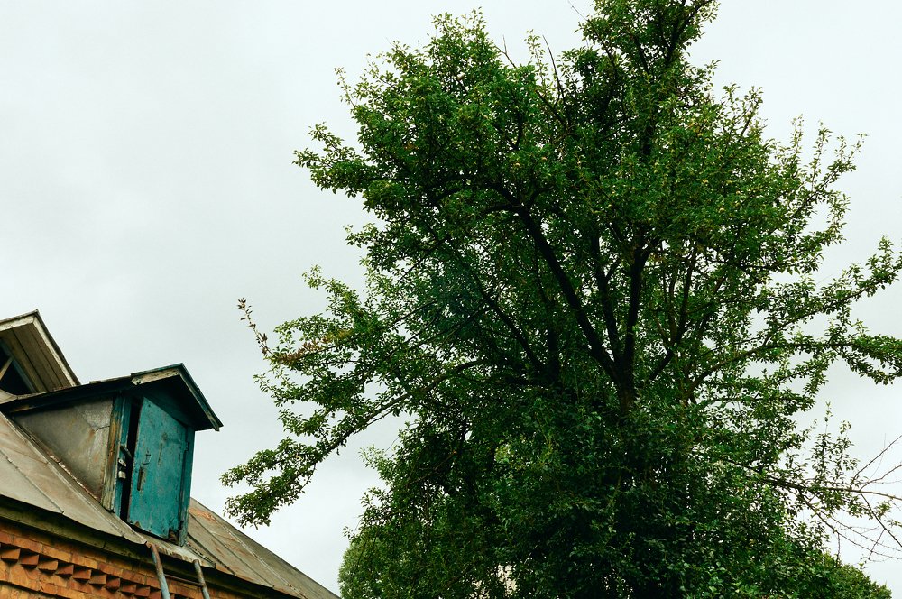 Фотография автора Святослав Романяк