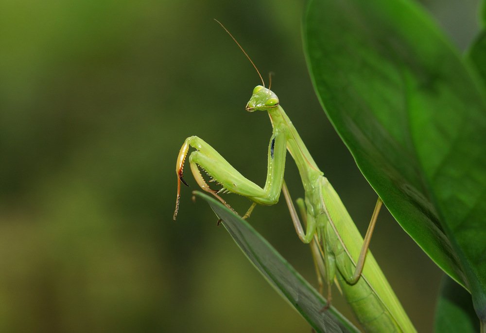 Photograph by Виктор Игнатенко.