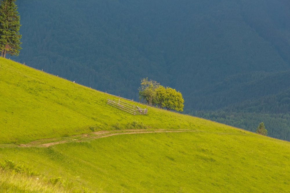 Photograph by Ольга Псюрник