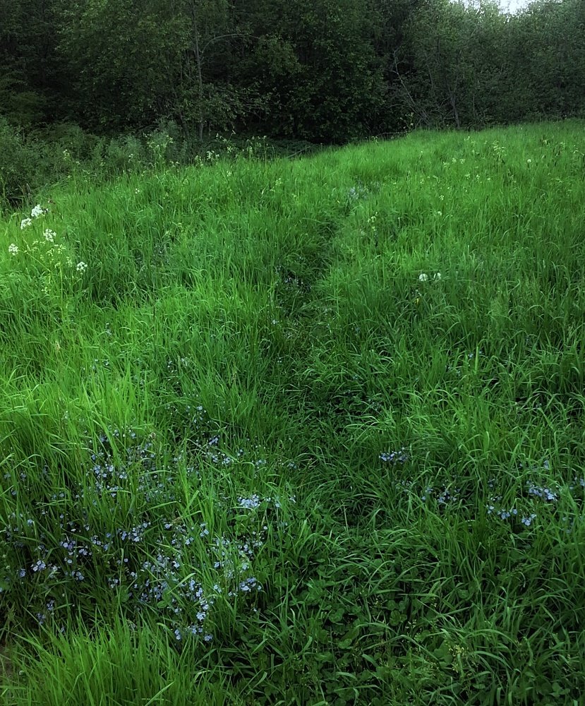 Photograph by Людмила М