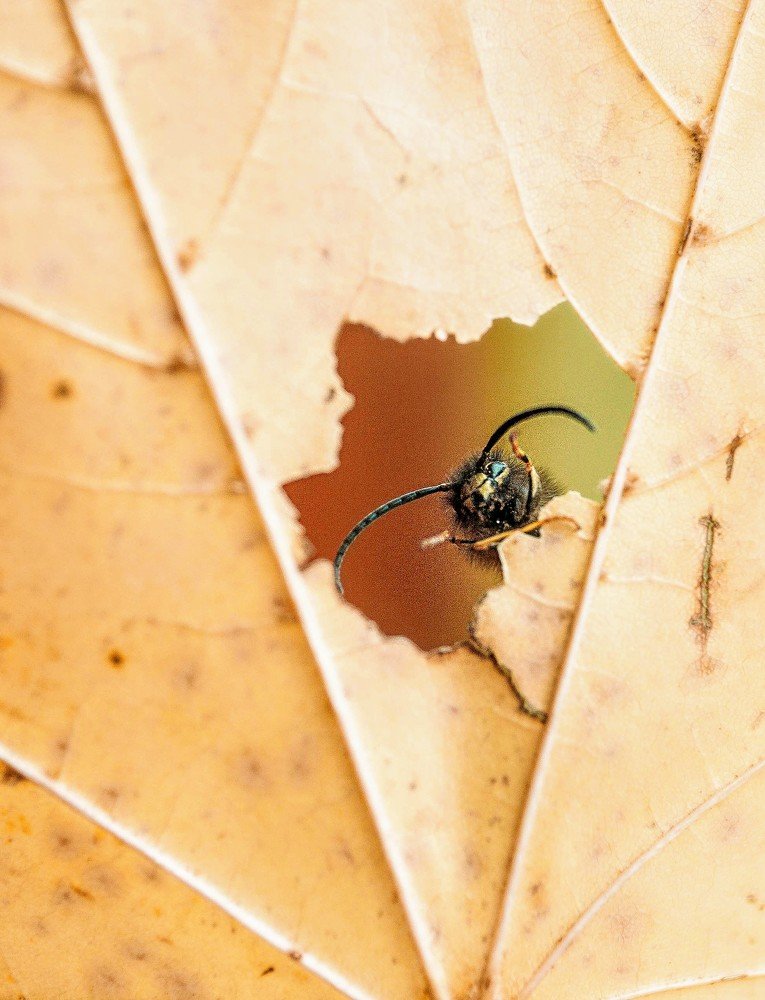 Photograph by Светлана Кавказская
