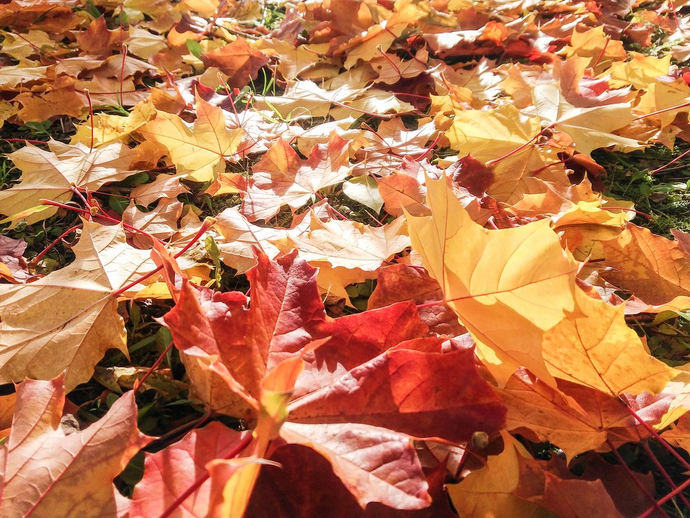 Photograph by Герман