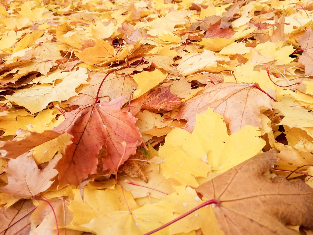 Photograph by Герман