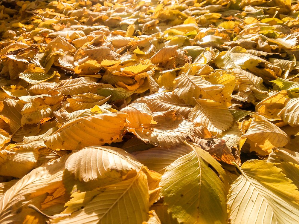 Photograph by Герман