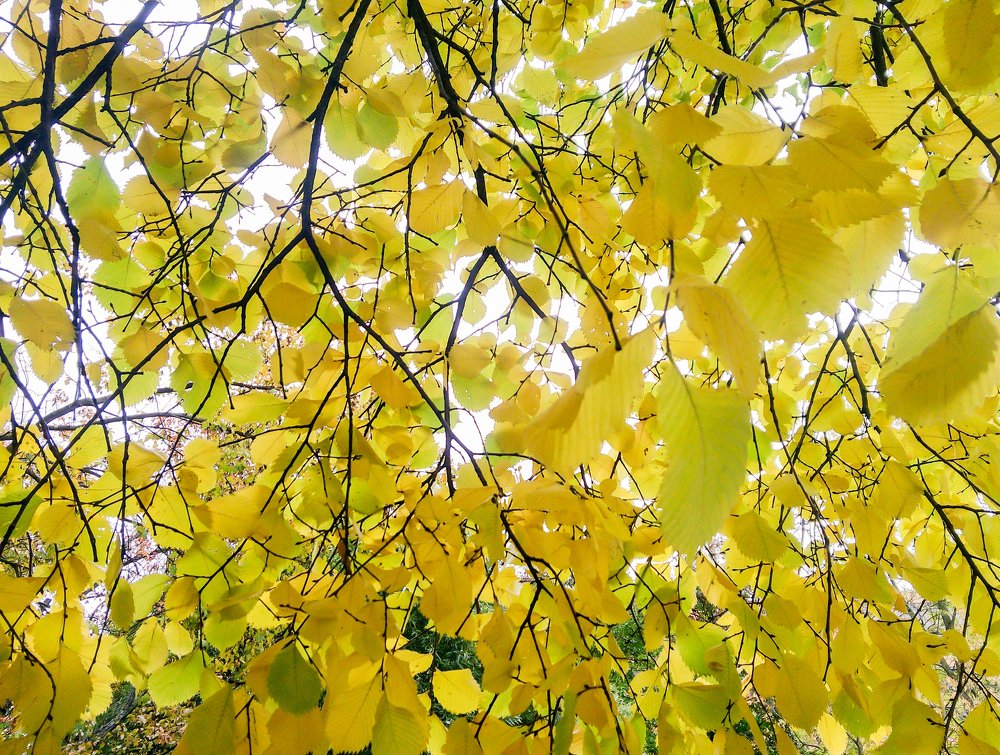 Photograph by Герман