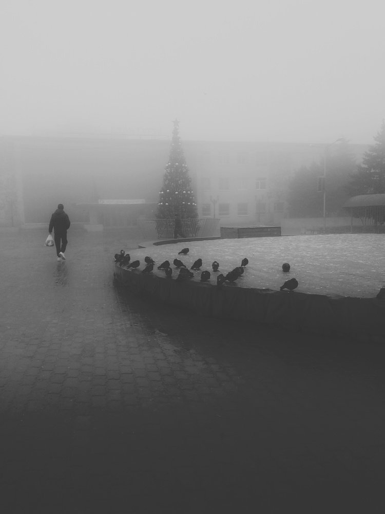 Photograph by Людмила М