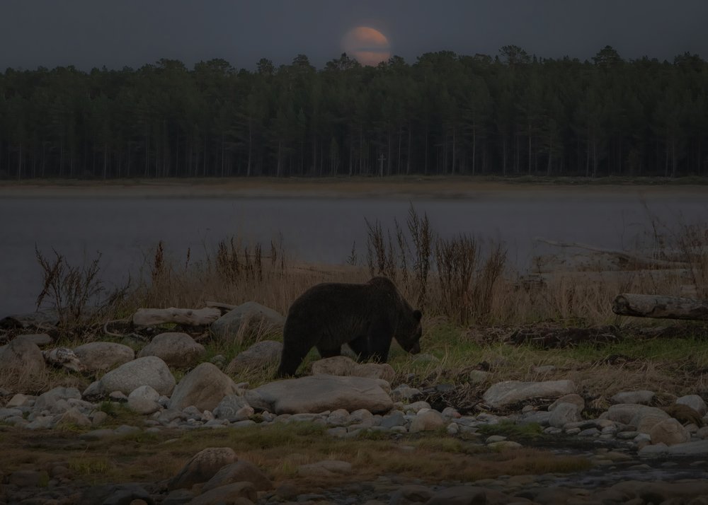 Photograph by Алексей Романов