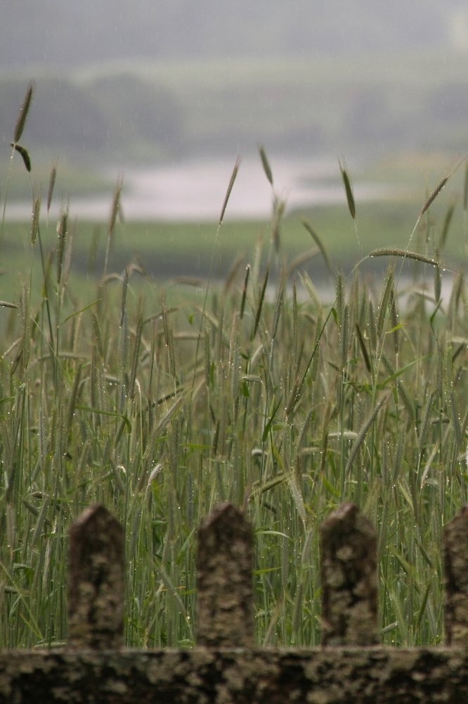 Photograph by Ирина Богатырева