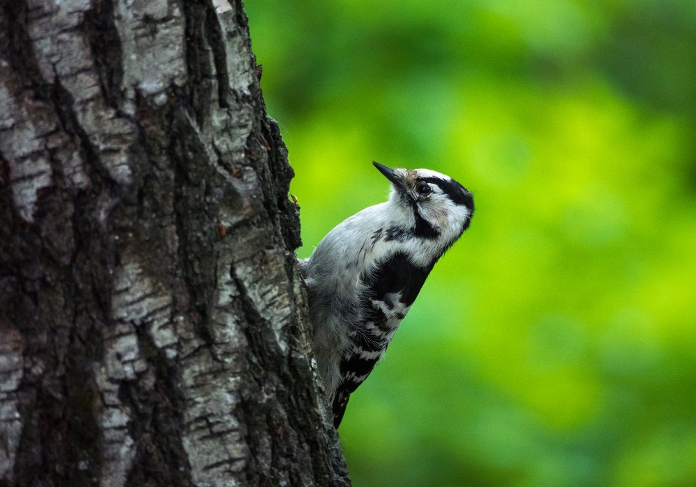 Photograph by Елена Ржевская