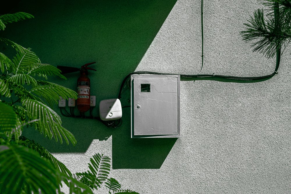 Photograph by Полина Ковальская