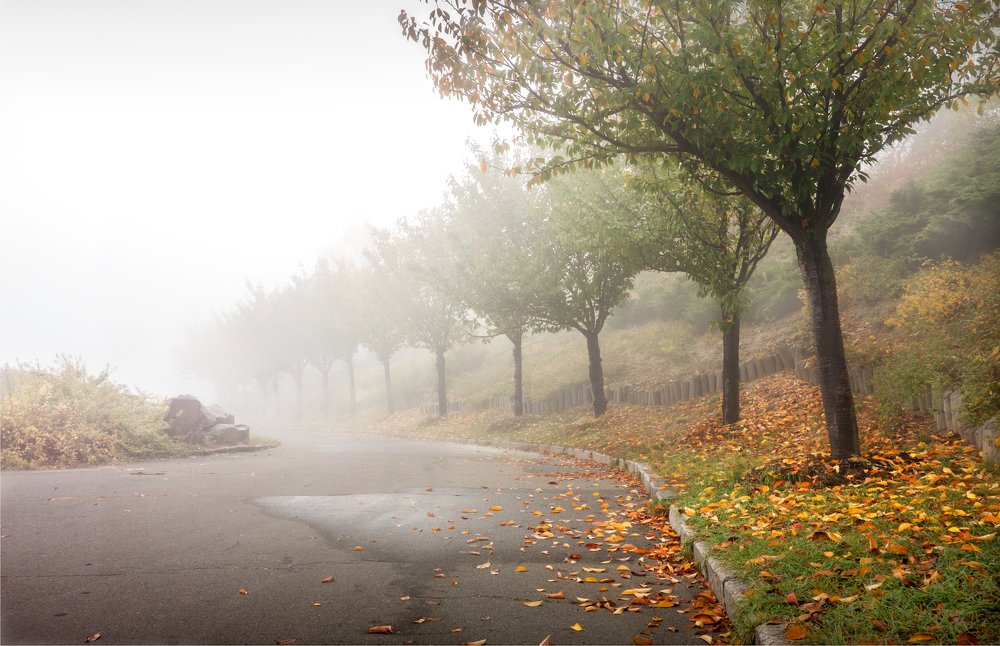 Photograph by Aнтон Кононов