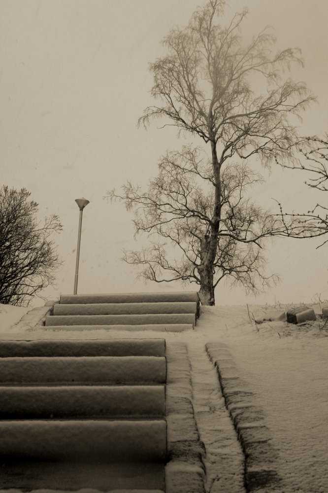 Photograph by Ирина Богатырева