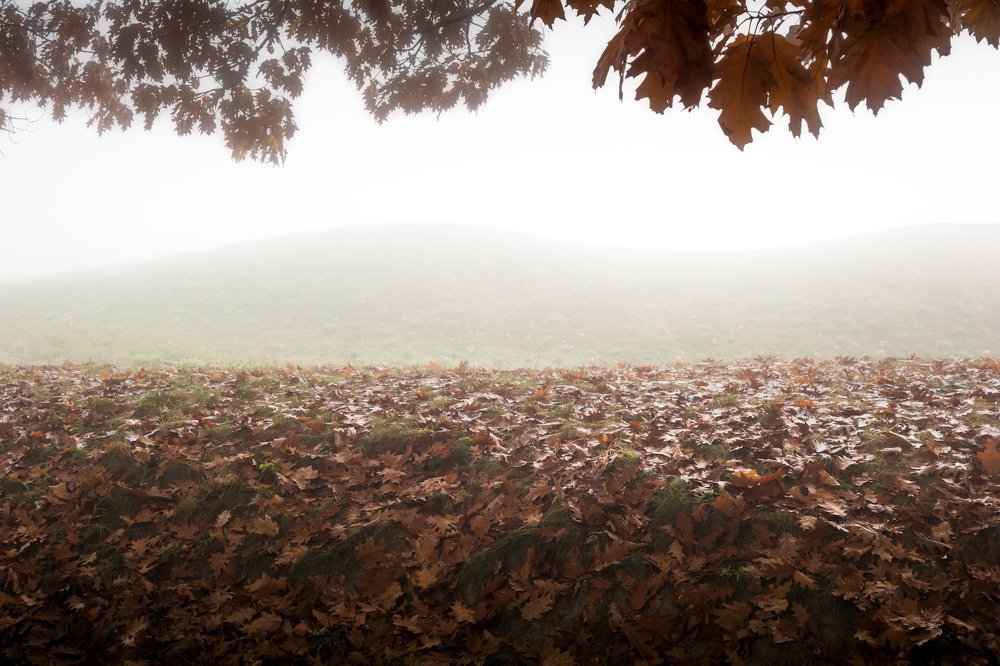 Photograph by Aнтон Кононов