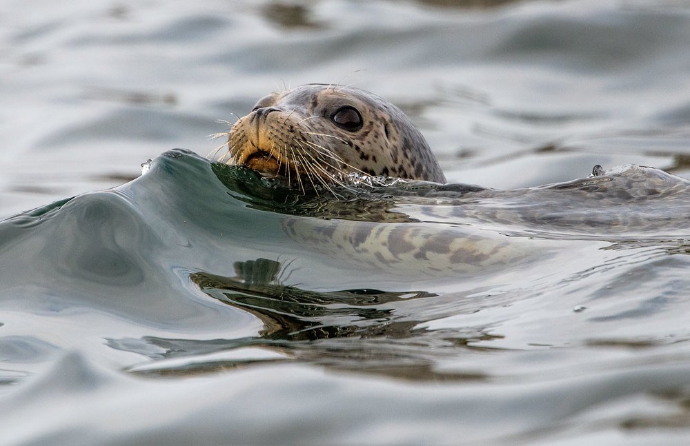 Photograph by Евгений Бушков