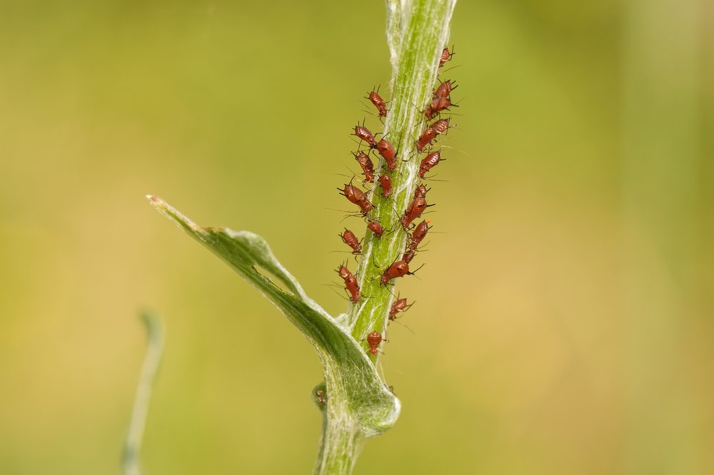 Photograph by Анатолий Калмыков