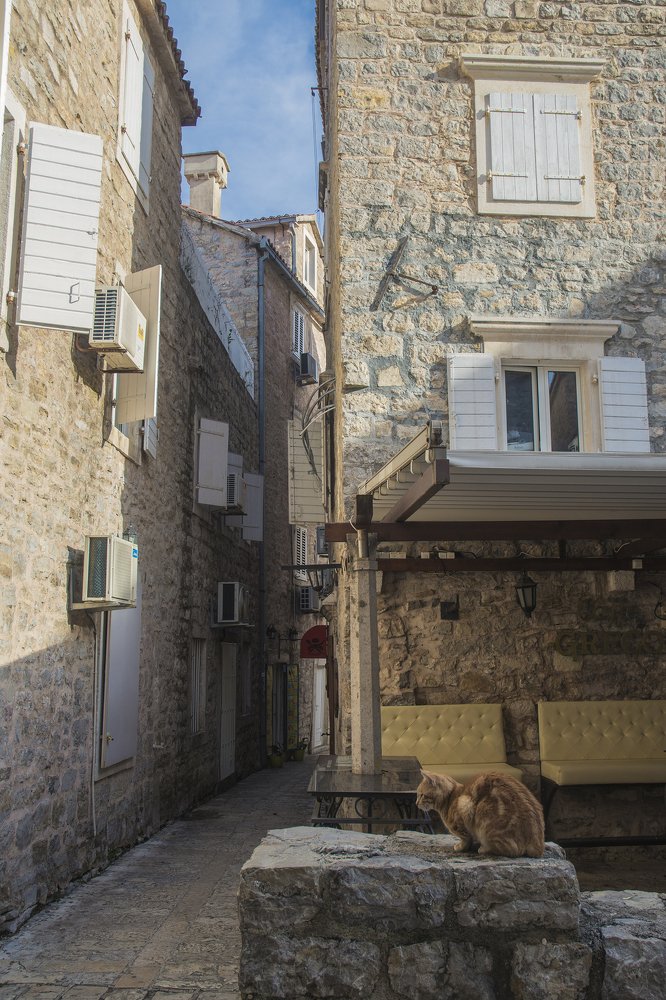 Photograph by Алексей Романов