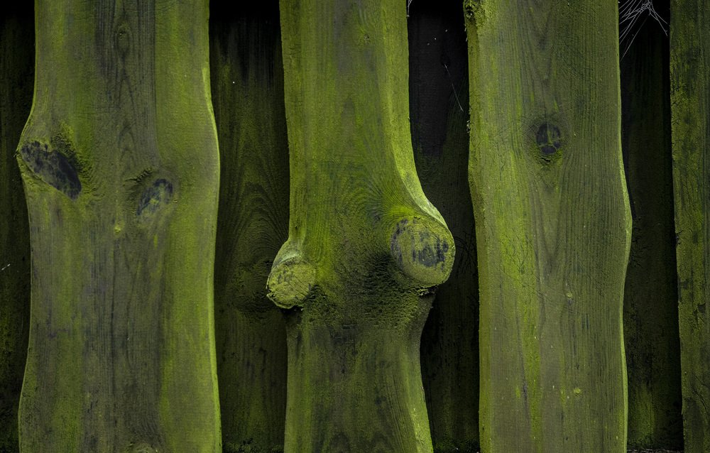 Photograph by Кондратюк Андрей