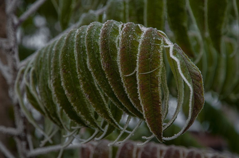 Photograph by Кондратюк Андрей