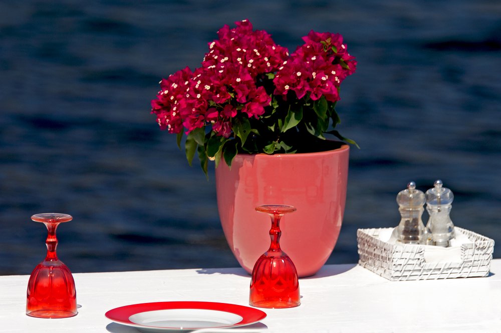 Фотография автора Kamil Onugor