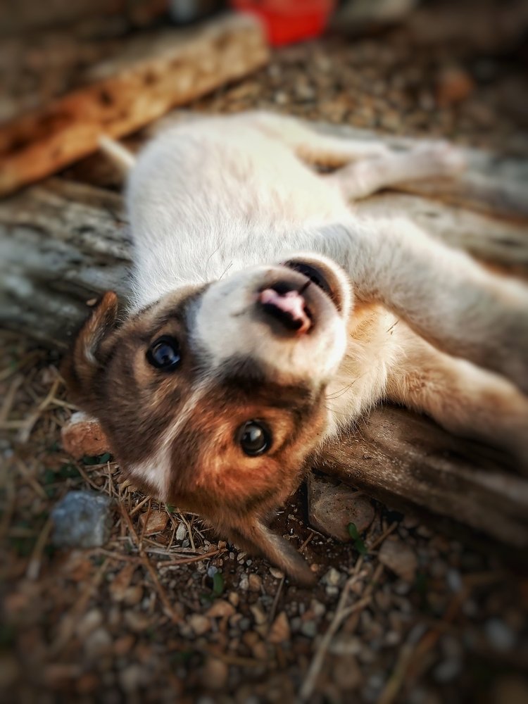 Photograph by Yahya Kakapour