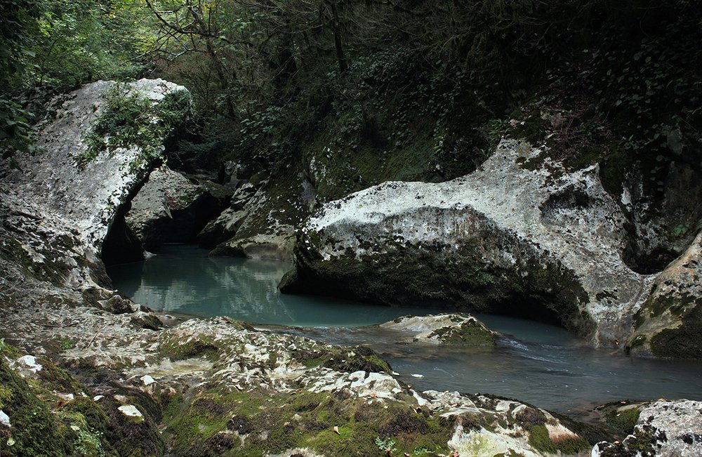 В пасти дракона